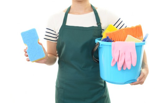 Domestic cleaning equipment prepared for a Tufnellpark home