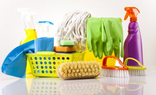Professional cleaner in Tufnellpark for home cleaning
