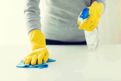 Professional house cleaning in Tufnellpark for a tidy living room