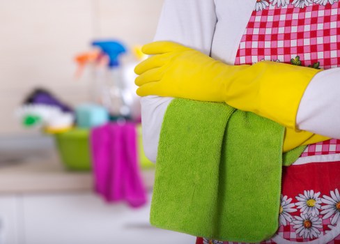 Local cleaners maintaining a tidy living room in Tufnellpark