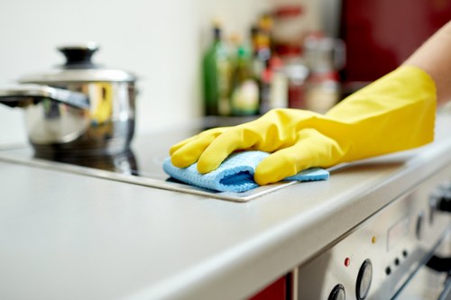 Professional carpet cleaning service with safety-focused workflow