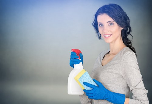 Safety check being carried out before carpet cleaning begins
